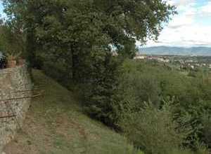 Steinmauer zum Olivenhain
