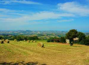 herrliches Panorama