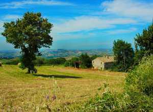 vicino Monterubbiano