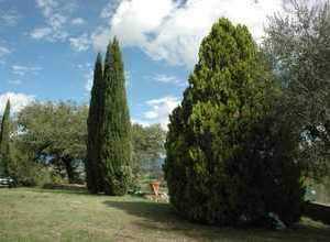 toller Garten mit Aussicht