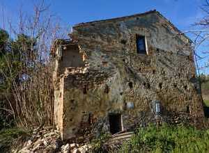 da vero bello