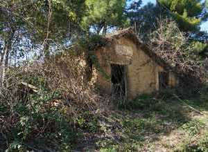 anesso in argilla