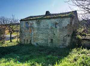 nessuna paura di rovine - un sogno