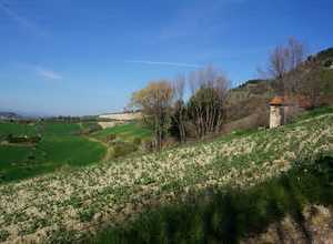 Südlage mit Blick in die Berge