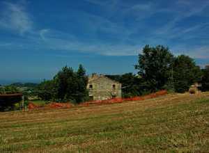 ambiente rurale