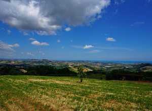 Il vostro posto al sole