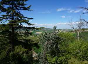 Blick aus dem Küchenfenster