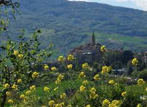 Castignano - im Herzen südlichen Marken