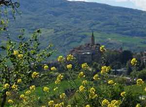 Castignano - nel cuore delle Marche