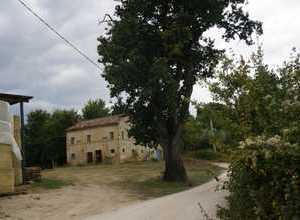 hier ist Ihr Traumhaus in Monterubbiano