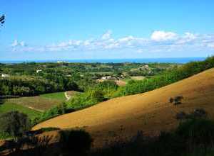 con terreni agricoli