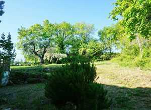 Mediterranean garden