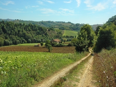 Country house in the vineyards