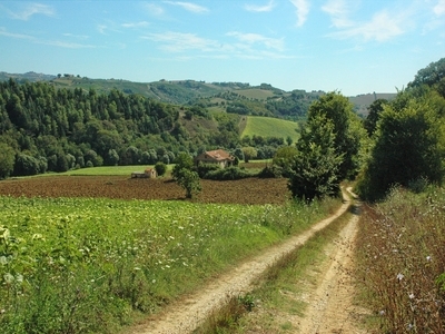 Casa di campagna tra le vigne