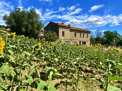 Beautiful country house in a wonderful landscape