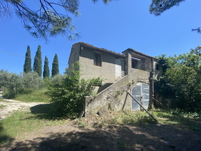 2 country houses in the olive grove