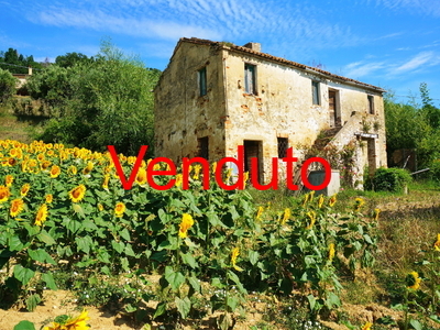 Casale da ristrutturare sulle colline di Ripatransone