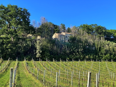 Landhaus im Weinberg, 5 min vom Meer entfernt