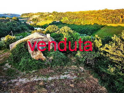 Grosses Landhaus mit herrlichen Meerblick und traumhaften 100jährigen Ölbäumen