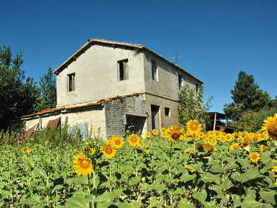 Bella casa di campagna - in attesa della tua ristrutturazione