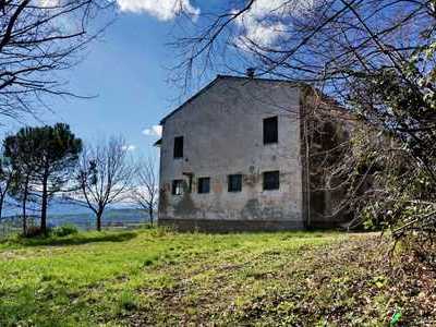 Sunny casolare with olive grove and orchard - 14 ha of land