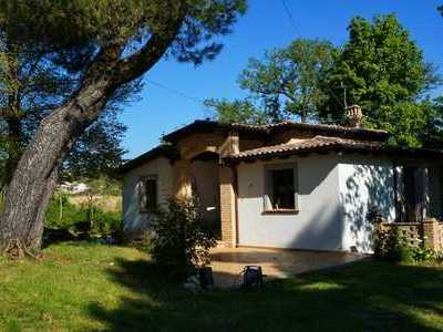 Casa di campagna moderna - bel giardino e vecchi alberi giganti